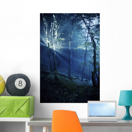 Misty Rays Dark Forest Wall Decal Design 3