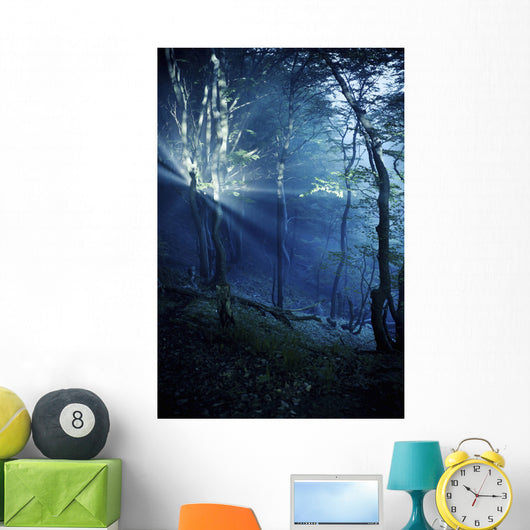 Misty Rays Dark Forest Wall Decal Design 3
