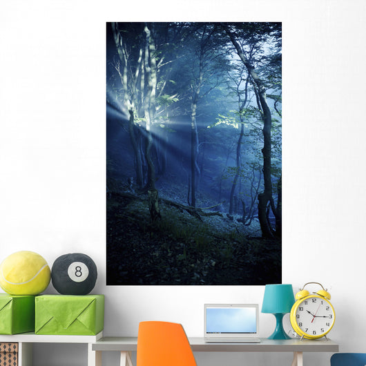 Misty Rays Dark Forest Wall Decal Design 3