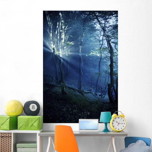 Misty Rays Dark Forest Wall Decal Design 3