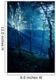 Misty Rays Dark Forest Wall Decal Design 3