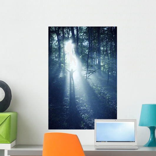 Silhouette Man Standing Misty Wall Decal