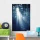 Silhouette Man Standing Misty Wall Decal