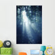 Silhouette Man Standing Misty Wall Decal