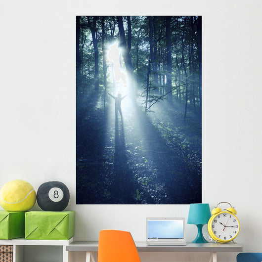 Silhouette Man Standing Misty Wall Decal