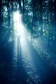 Silhouette Man Standing Misty Wall Decal