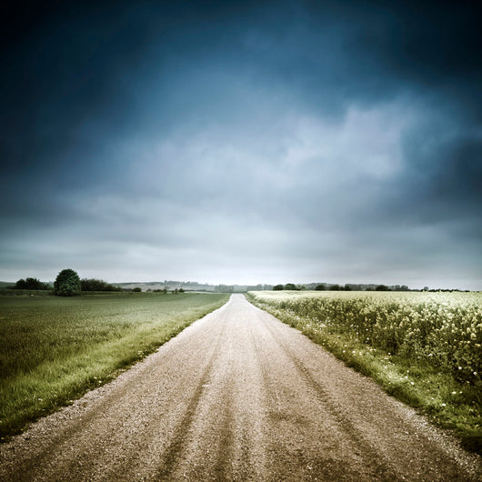 Country Road through Fields Wall Decal