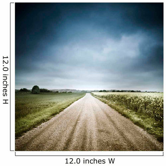 Country Road through Fields Wall Decal