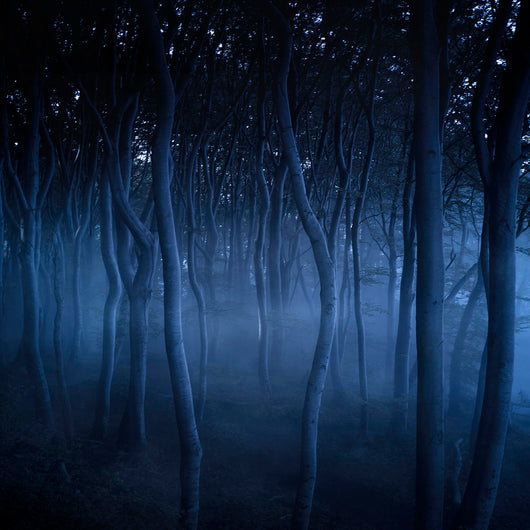 Dark Misty Forest Liselund Wall Decal