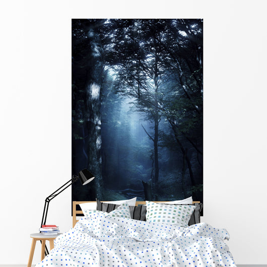 Misty Rays Dark Forest Wall Decal Design 2