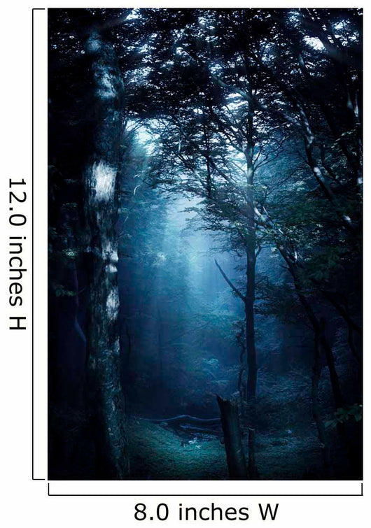 Misty Rays Dark Forest Wall Decal Design 2