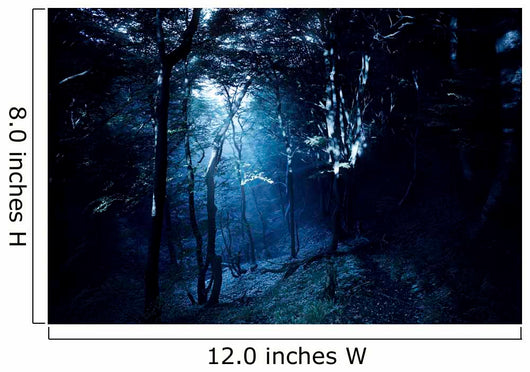 Misty Rays Dark Forest Wall Decal Design 1