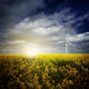 Wind Turbine Canola Field Wall Decal