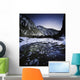River Forest Ritsa Nature Wall Decal Design 3