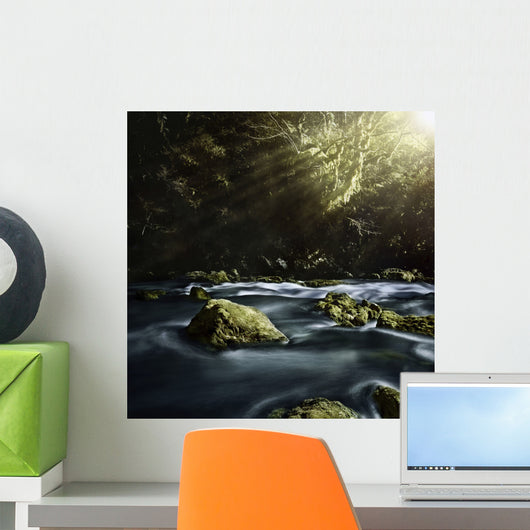 Aged Boulders Covered with Wall Decal Design 5