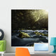 Aged Boulders Covered with Wall Decal Design 5