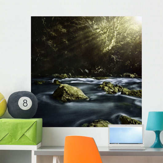 Aged Boulders Covered with Wall Decal Design 5