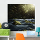 Aged Boulders Covered with Wall Decal Design 5
