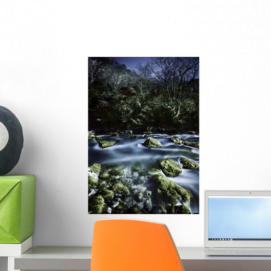 Aged Boulders Covered with Wall Decal Design 4