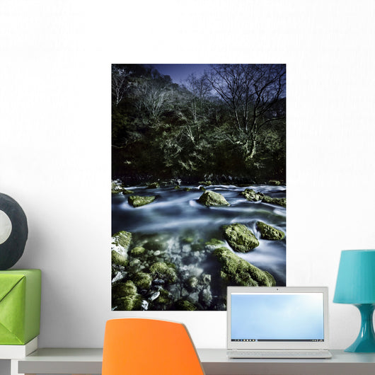 Aged Boulders Covered with Wall Decal Design 4