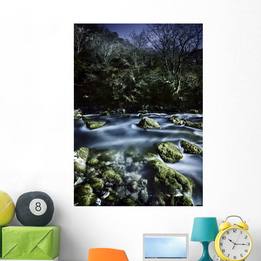 Aged Boulders Covered with Wall Decal Design 4