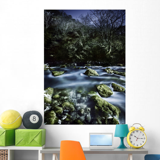Aged Boulders Covered with Wall Decal Design 4