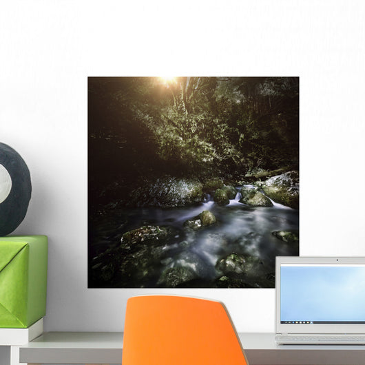 River Forest Sunset Ritsa Wall Decal Design 2
