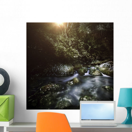 River Forest Sunset Ritsa Wall Decal Design 2