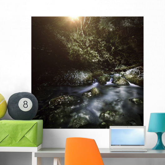 River Forest Sunset Ritsa Wall Decal Design 2