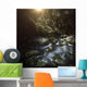 River Forest Sunset Ritsa Wall Decal Design 2