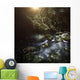 River Forest Sunset Ritsa Wall Decal Design 2