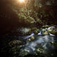 River Forest Sunset Ritsa Wall Decal Design 2