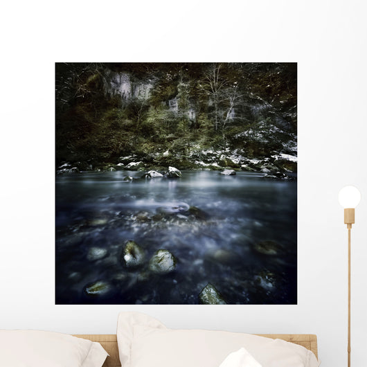 River Forest Ritsa Nature Wall Decal Design 2