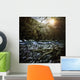 River Forest Sunset Ritsa Wall Decal