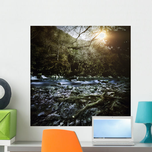 River Forest Sunset Ritsa Wall Decal