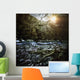 River Forest Sunset Ritsa Wall Decal