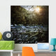 River Forest Sunset Ritsa Wall Decal