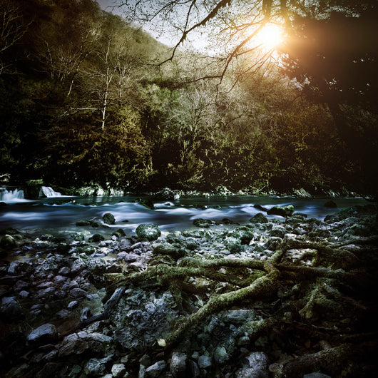 River Forest Sunset Ritsa Wall Decal