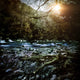 River Forest Sunset Ritsa Wall Decal