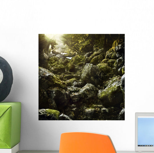 Aged Boulders Covered with Wall Decal Design 3