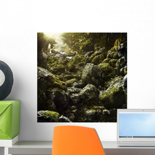 Aged Boulders Covered with Wall Decal Design 3