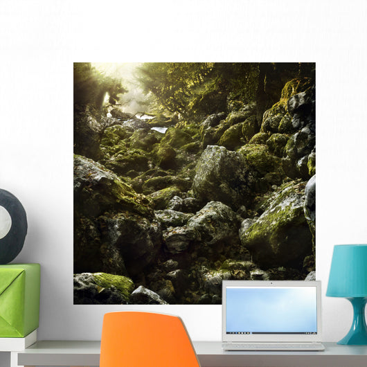 Aged Boulders Covered with Wall Decal Design 3