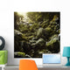 Aged Boulders Covered with Wall Decal Design 3