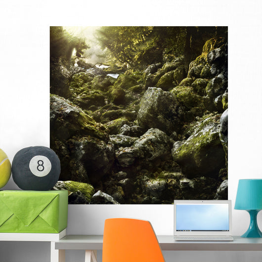 Aged Boulders Covered with Wall Decal Design 3