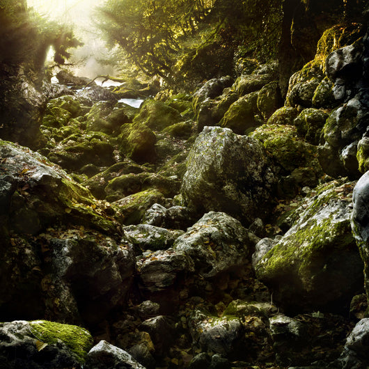 Aged Boulders Covered with Wall Decal Design 3
