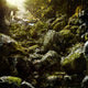 Aged Boulders Covered with Wall Decal Design 3