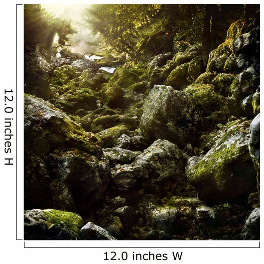 Aged Boulders Covered with Wall Decal Design 3