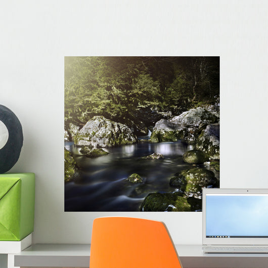 Aged Boulders Covered with Wall Decal Design 2