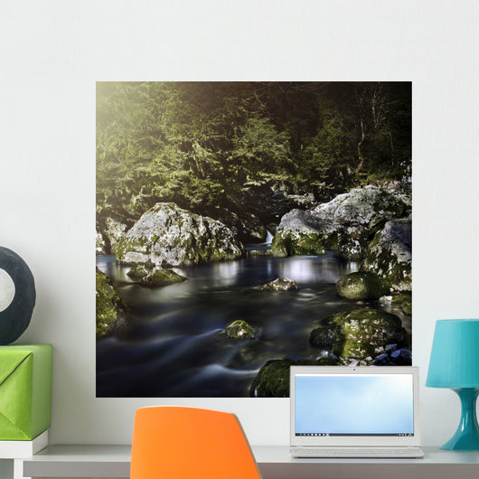 Aged Boulders Covered with Wall Decal Design 2