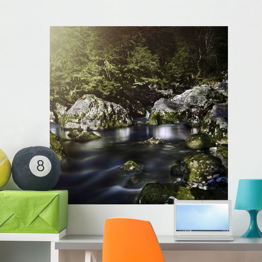 Aged Boulders Covered with Wall Decal Design 2